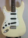 Fernandes FST 2.jpg